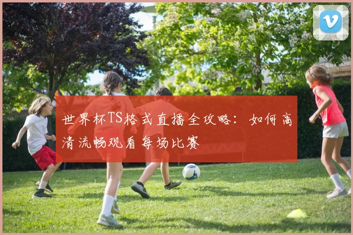 世界杯TS格式直播全攻略：如何高清流畅观看每场比赛