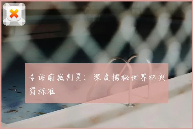专访前裁判员：深度揭秘世界杯判罚标准