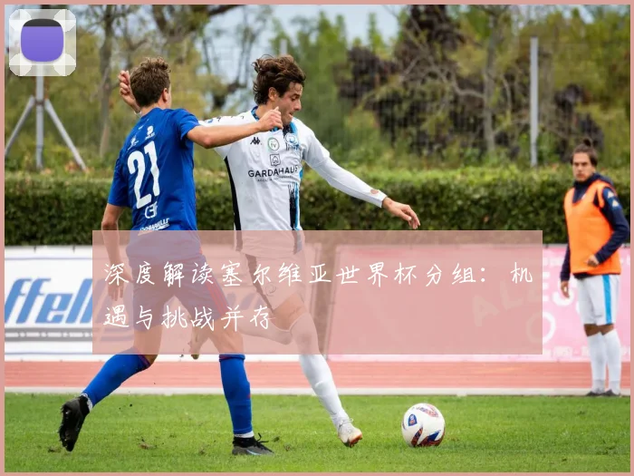 深度解读塞尔维亚世界杯分组：机遇与挑战并存