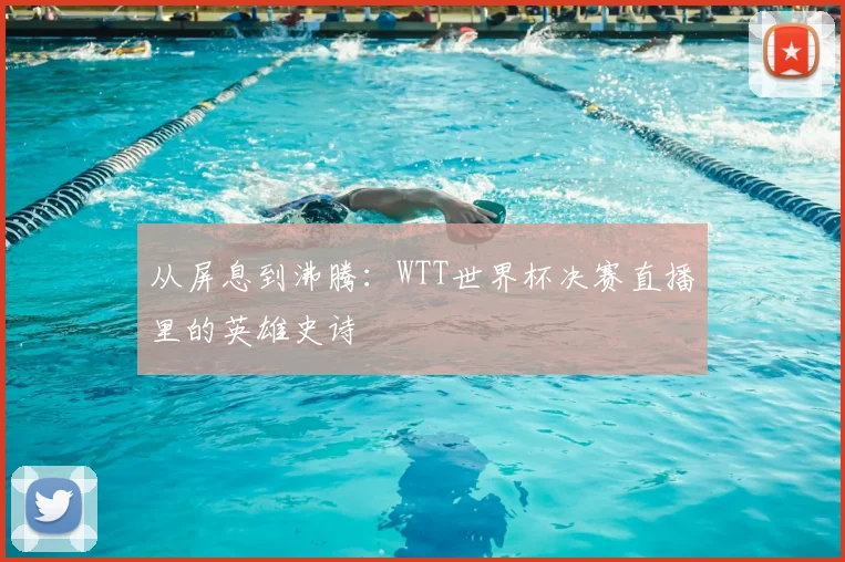 从屏息到沸腾：WTT世界杯决赛直播里的英雄史诗