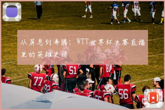 从屏息到沸腾：WTT世界杯决赛直播里的英雄史诗