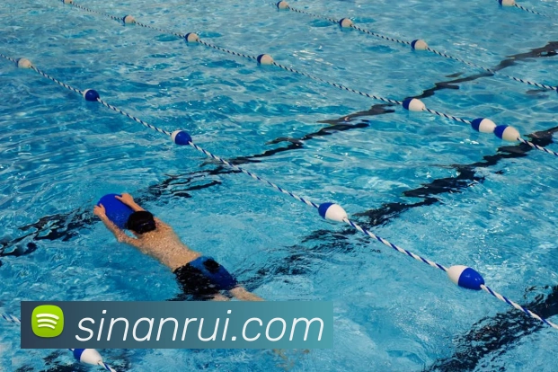 开云在线官网登录入口平台生态图